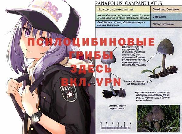 меф VHQ Богородицк