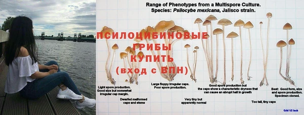 альфа пвп VHQ Богородск
