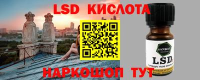 прущие грибы Краснознаменск