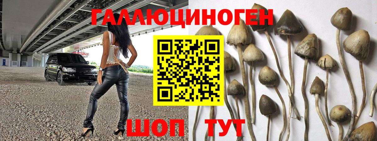 Псилоцибиновые грибы Magic Shrooms Пыть-Ях
