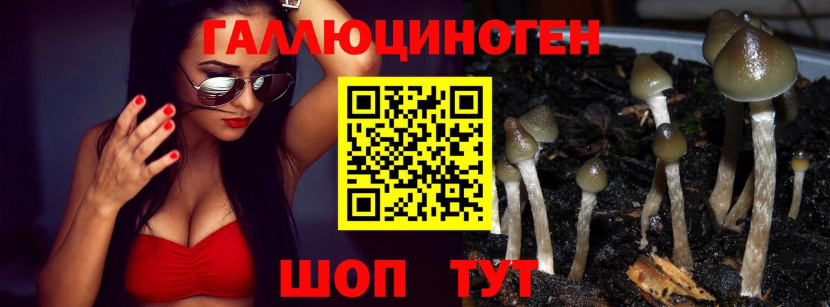 Галлюциногенные грибы MAGIC MUSHROOMS  Вход с VPN  Псилоцибиновые грибы мицелий  Пыть-Ях 