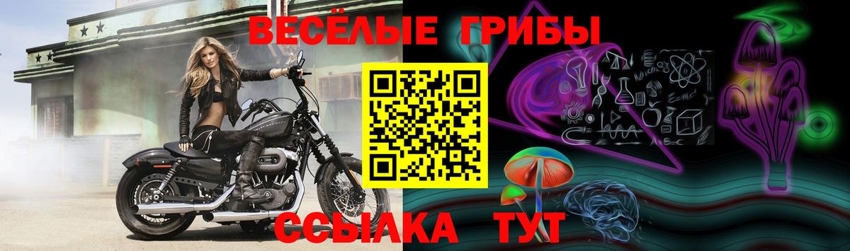Галлюциногенные грибы Пыть-Ях